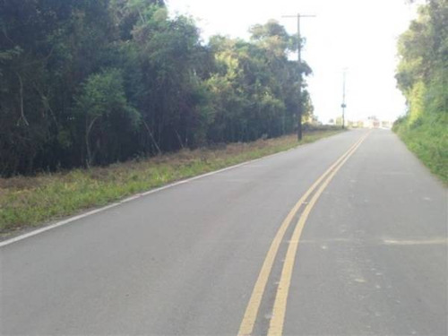 Imagem 5 de 5 de Terreno - Conceicao Da Linha Feijo - Ref: 4104 - V-4104