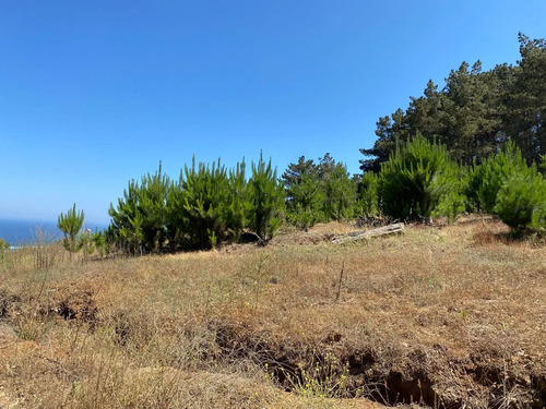Terreno Pichilemu Hermosa Vista
