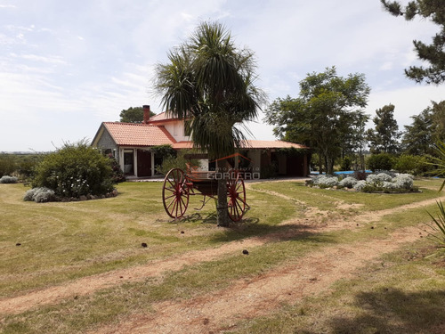 Chacra A La Venta En  Uruguay  A 27 Km De  Punta Del Este, Vivienda Con Piscina Climatizada, Huerta, Frutales