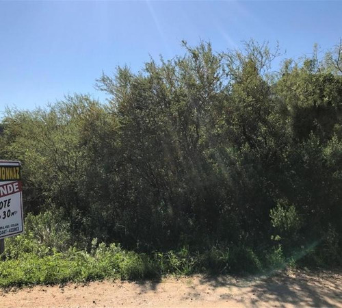 Imagen 7 de 8 de Lote De 450 M2 En Barrio Cicle Colon