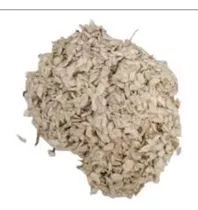 Comprar Semillas De Limoncillo Ornamental Cerca Viva