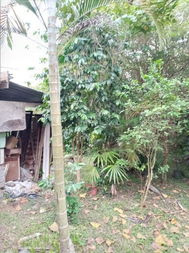 Imagem 7 de 30 de Oportunidade - Sp Capital - 75487