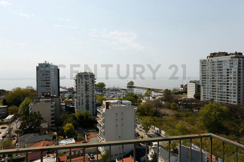 Departamento Venta 3 Ambientes Con Dep. Olivos Libertador.