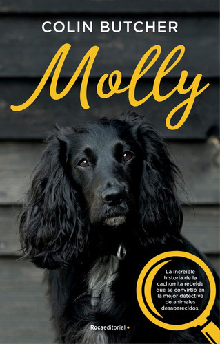 Molly, de Butcher, Colin. Roca Editorial, tapa blanda en español