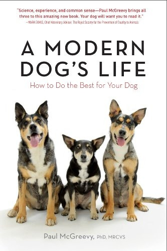 A Modern Dogs Life How To Do The Best For Your Dog