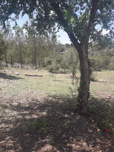 Imagen 2 de 14 de Cabaña Potrero De Garay, A 20 Min De Villa General Belgrano. Facilidad De Reservas Anticipadas.