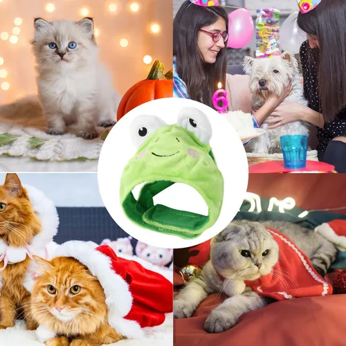Sombrero De Rana Gato Sombreros Para Perros Y Gatos Sombrero