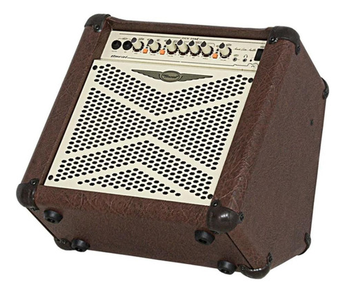 Cubo Voz E Violão Amplificador 40w 8  Oneal Ocv-208x