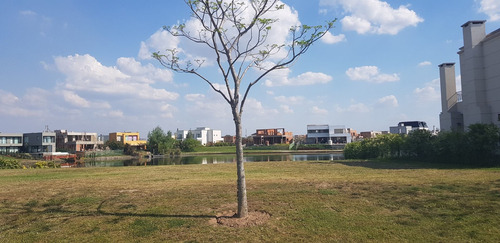 Imagen 3 de 3 de Lote Al Lago Venta En Vistas, Puertos, Escobar.