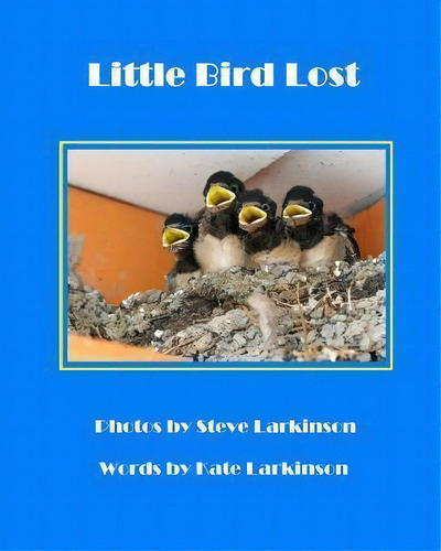 Little Bird Lost, De Kate Larkinson. Editorial Createspace Independent Publishing Platform, Tapa Blanda En Inglés