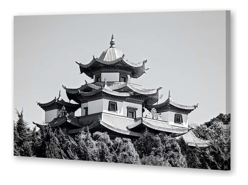 Cuadro 60x90cm Japones Templo Buda Edificio Blanco Negro