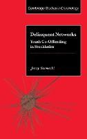 Libro Delinquent Networks : Youth Co-offending In Stockho...