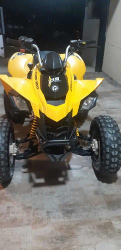 Can Am Ds250