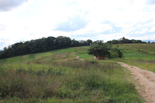 Imagem 11 de 16 de Terreno De 500m² Com Escritura E Matrícula. Localizado A 10 Minutos Do Centro