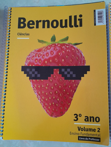 Livro Do Professor Bernoulli 3º Ano Ensino Fundamental V.2 (Usado)