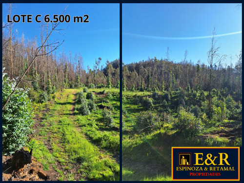 6000 M2 En Colico, Con Ester , Santa Juana (67673)
