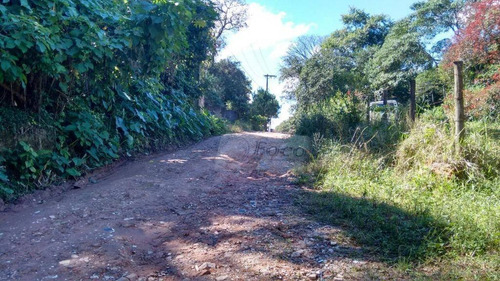 Imagem 10 de 12 de Terreno Residencial À Venda, Boa Vista, Mairiporã - Te0125. - Te0125