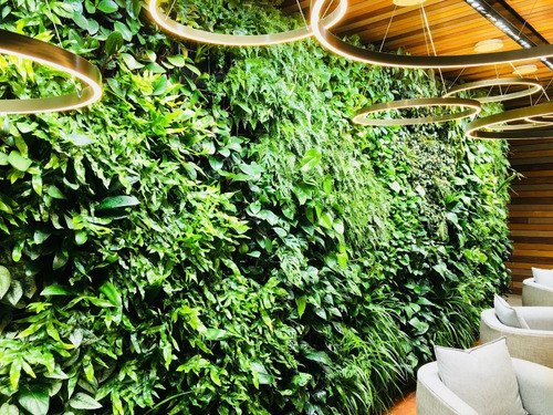Jardin Vertical 30 Piezas Muros Verdes Naturales Geotextil