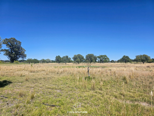 Vendo Terreno En Barrio Privado Nevado Golf Club , San Rafael, Mendoza