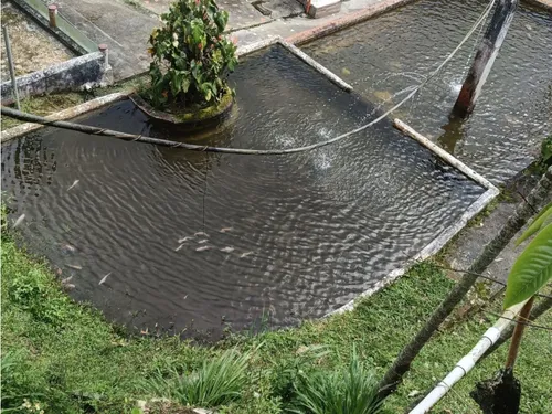 Se Vende Finca Chalet En Calarcá - Quindío