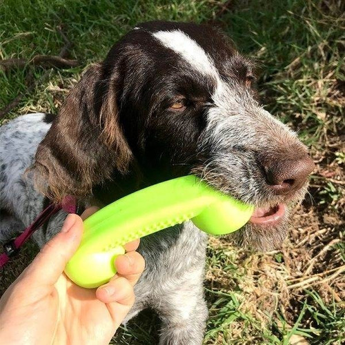 Imagen 4 de 7 de Juguete Para Perros Tipo Phone Dispensador De Golosinas