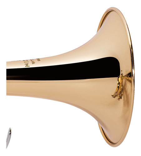Trompete Michael Wtrm30 Laqueado Com Capa