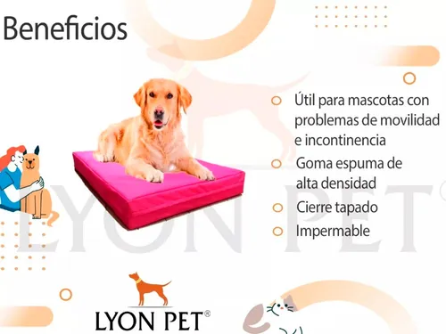 Cama Perro Grande Colchoneta Antidesgarro Impermeable 100x70