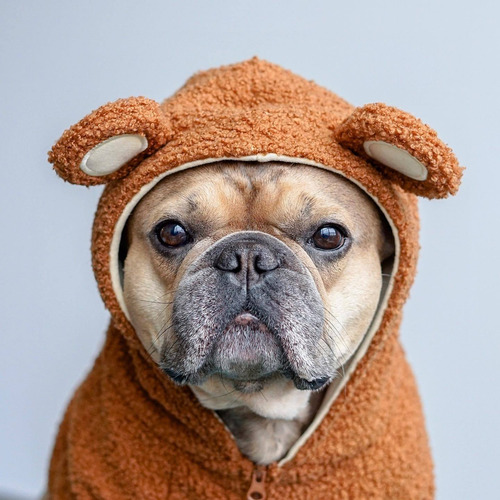 Suéter De Felpa Moderno Con Diseño De Bulldog Francés, Talla
