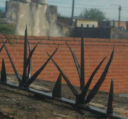 Pinches De Seguridad En Tucumán