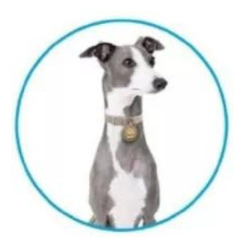 Placas De Identificación Para Mascotas Con Huella 74968