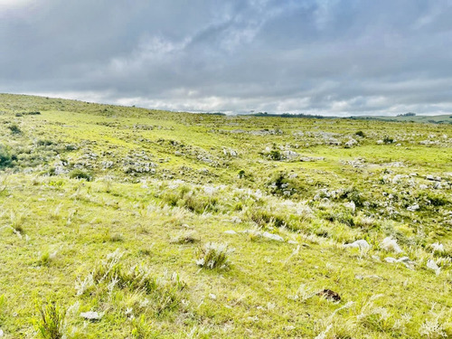 Venta Campo Lavalleja Minas