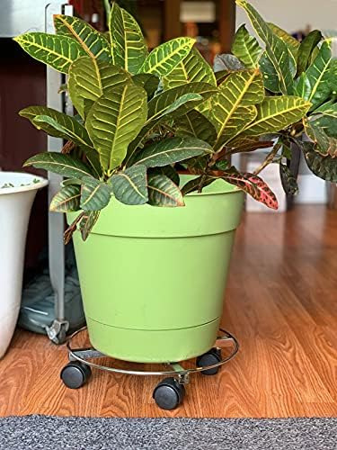 Red Carpet Studios Soporte Redondo De Metal Para Plantas, P