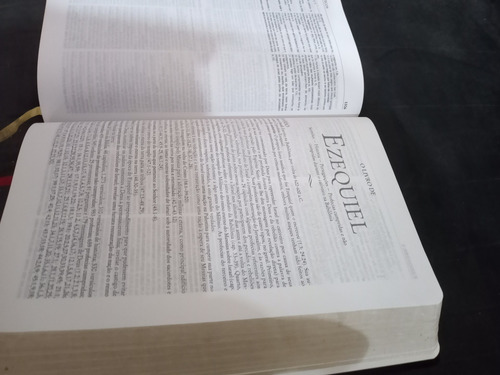 Promoção . Bíblia Estudo Dake , Livro Fora De Catálogo .