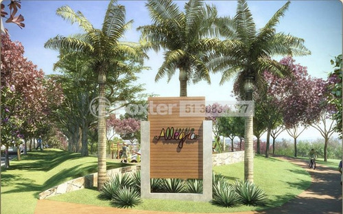 Imagem 3 de 8 de Terreno, 154 M², Mário Quintana - 196830