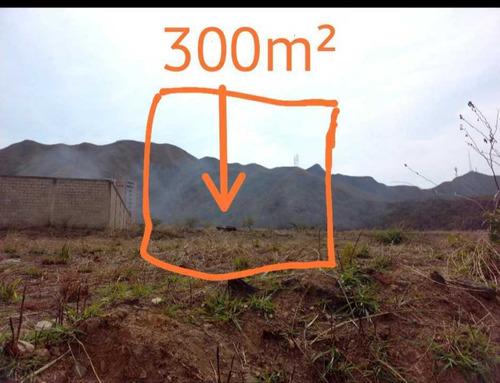 Imagen 5 de 11 de Terreno Unifamiliar En Venta Jardin Mañongo