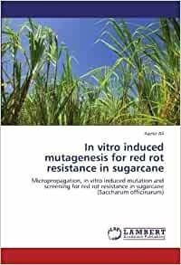 Mutagenesis Inducida In Vitro Para La Resistencia A La Pudri