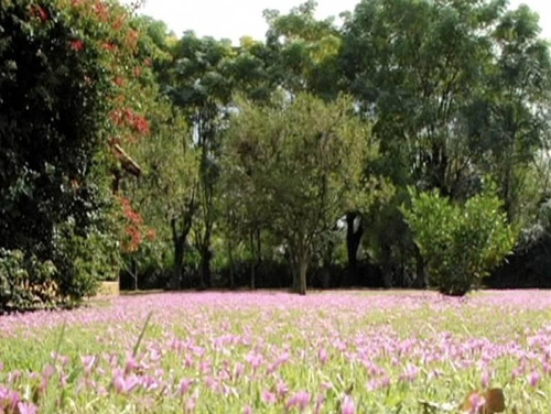 Terreno Lote En Venta En Casuarinas Del Pilar, Pilar, G.b.a. Zona Norte