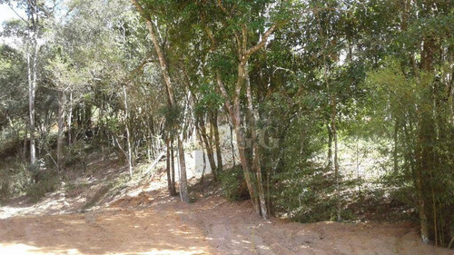 Imagem 6 de 24 de Casa Em Fase De Acabamento - Parque Florestal - Ca0892