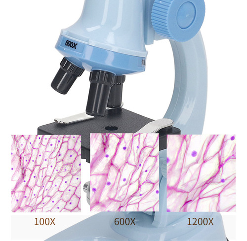 Set De Microscopios For Niños Clear Image Source Science Ed