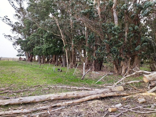 Imagen 10 de 14 de Campo En Venta En Punta Indio - 77 Hectáreas