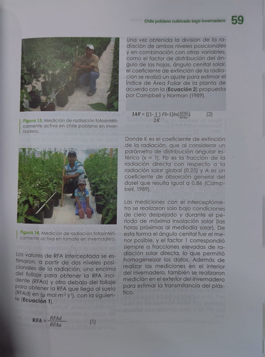 Chile Poblano Cultivado Bajo Invernadero Colpos