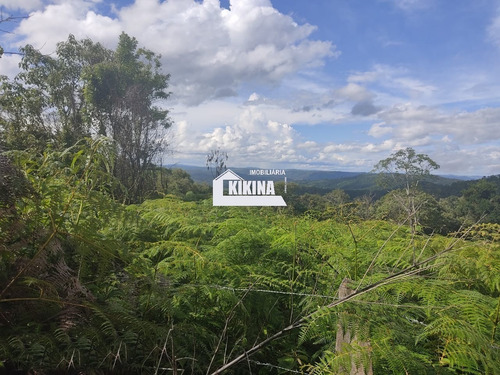 Imagem 9 de 14 de Terreno Para Venda - 02950.8695