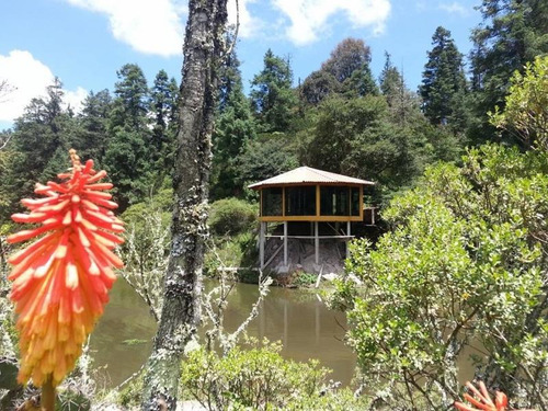 Imagen 7 de 8 de Terreno En Venta Fraccionamiento Con Amenidades, Ideales Para Construir Tu Cabaña De Descanso.