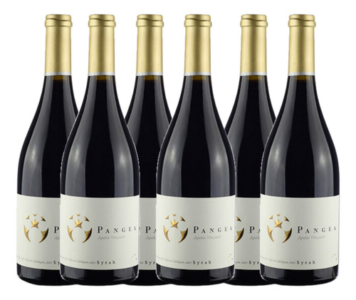 Vinho Chileno Ventisqueiro Pangea Syrah Cx/6