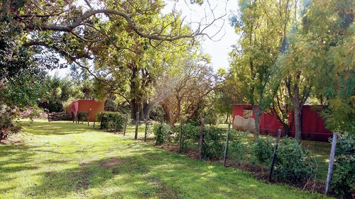 Campo En Venta En Capitán Sarmiento