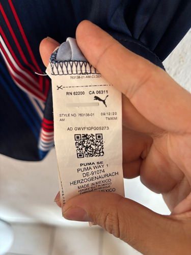 Jersey Chivas 2020 (Usado)