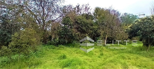 Imagen 19 de 28 de Sitio En Venta En Olmué