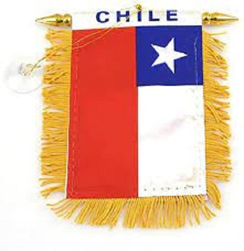 Pack 12 Banderas De Chile Con Flecos Ventosa/ Runn