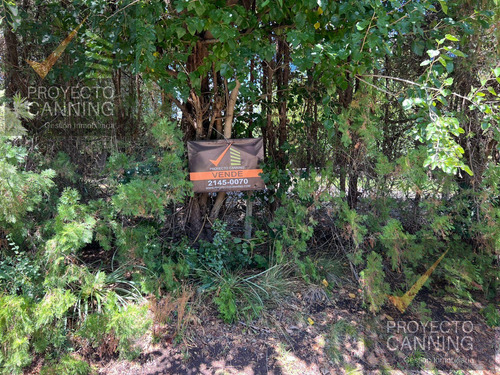 Lote Terreno En Venta Los Rosales Con Escritura