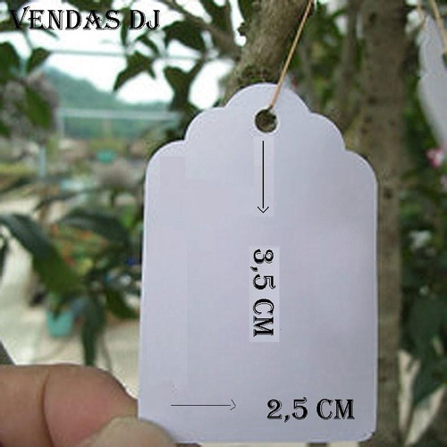 50 Peças: Placa Identificador Para Planta Horta Orquídea